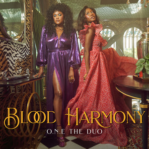 O.N.E The Duo Continues “Shaking Up The Realm Of  Country" (Ebony) On August 11 With Debut Album Blood Harmony